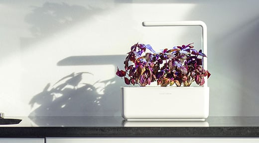 Click & Grow Smart Garden