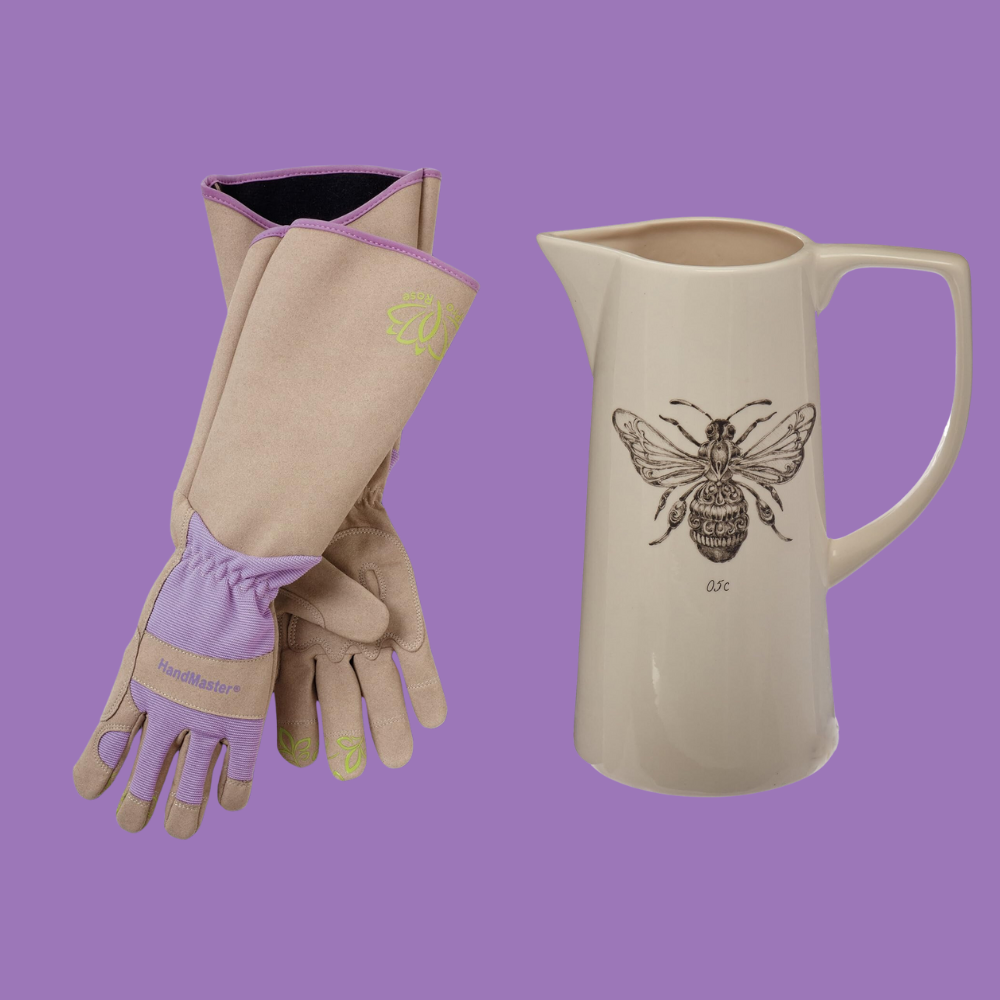 How to Make Her Smile on Mother\'s Day Without Breaking Your Budget